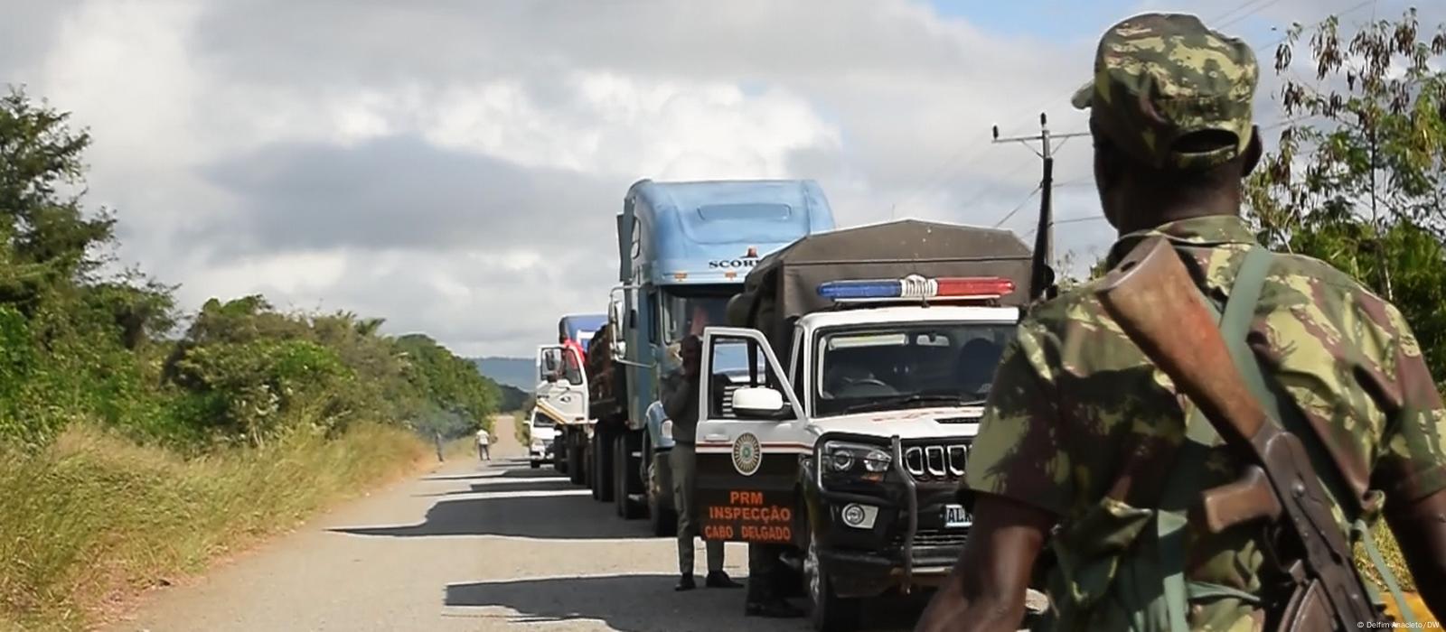 Comissão Política da Frelimo condena ataques de grupos que aterrorizam  alguns distritos de Cabo delgado