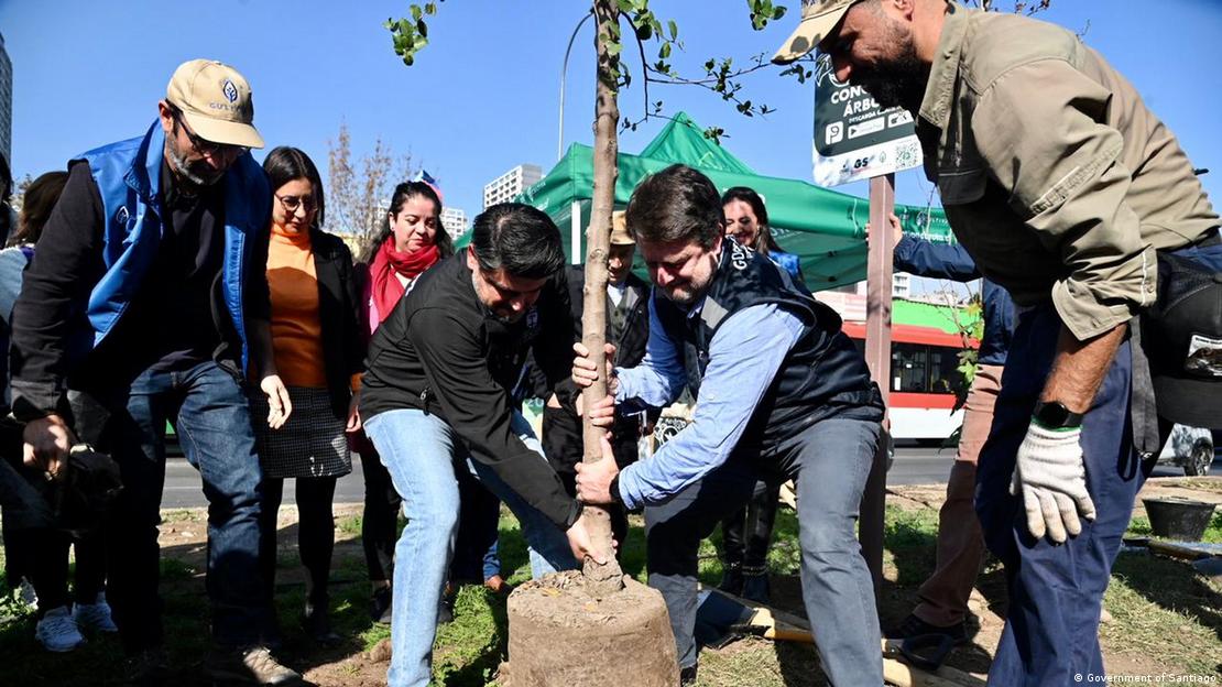 Government and NGO workers plant a tree in Santiago