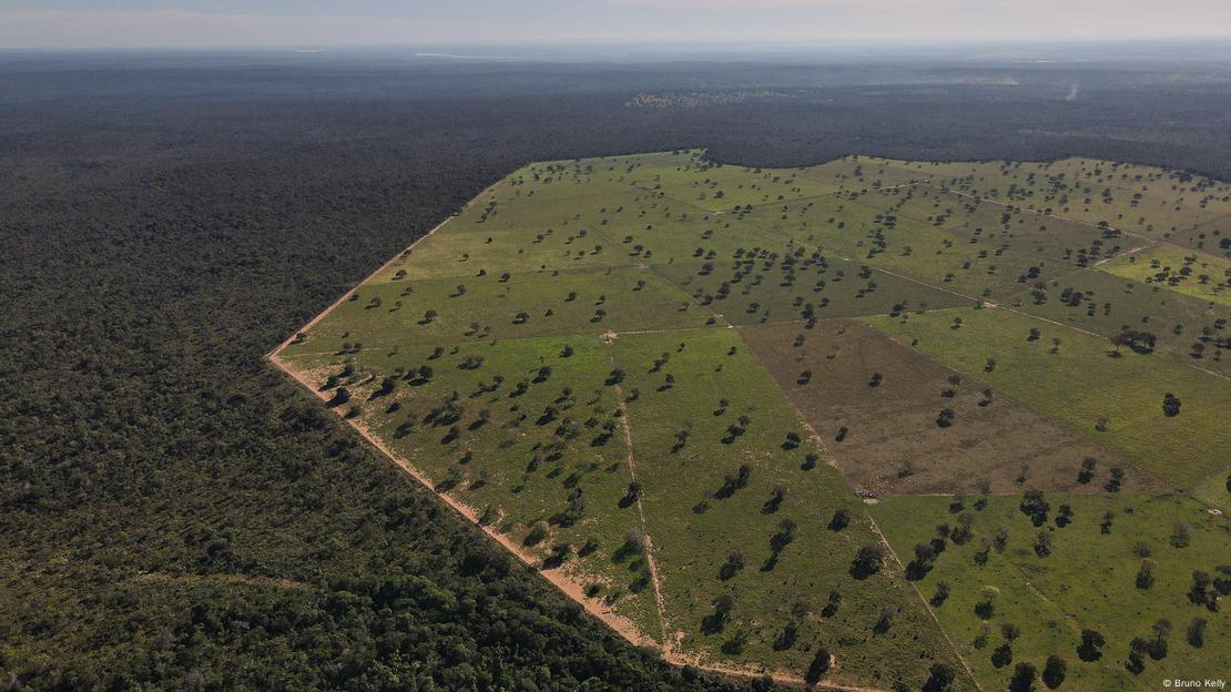 Vista aérea de fazendas próximas à Terra Indígena Apinajé, no Tocantins