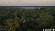 Apinaje Indigenous Land seen from above
Vista aérea da floresta na Terra Indígena Apinajé, Tocantins, Brasil. 08 de maio de 2023. Foto: Bruno Kelly/DW Brasil.