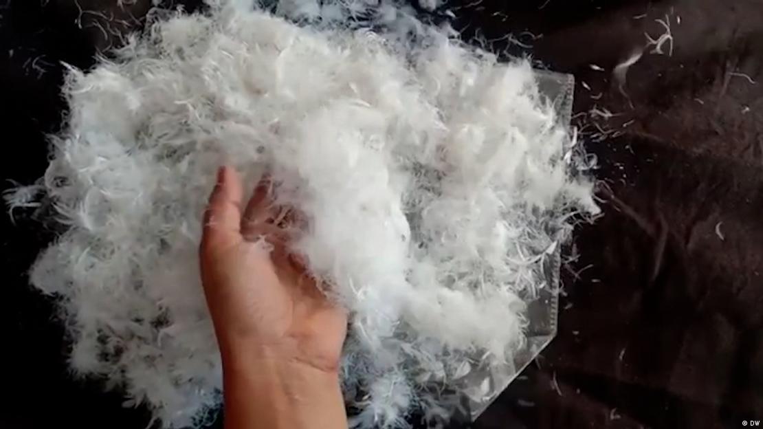 Tavuk tüyünden üretilmiş bir pamuk