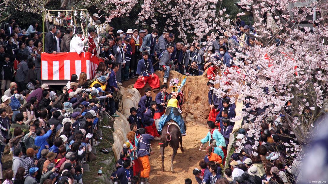 Japan: Animal rights campaigners condemn 680-year-old religious ritual that harms horses