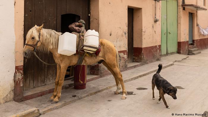Un campesino carga bidones con gasolina, cerca del volcán Popocatépetl en México. Un campesino carga bidones con gasolina, cerca del volcán Popocatépetl en México.