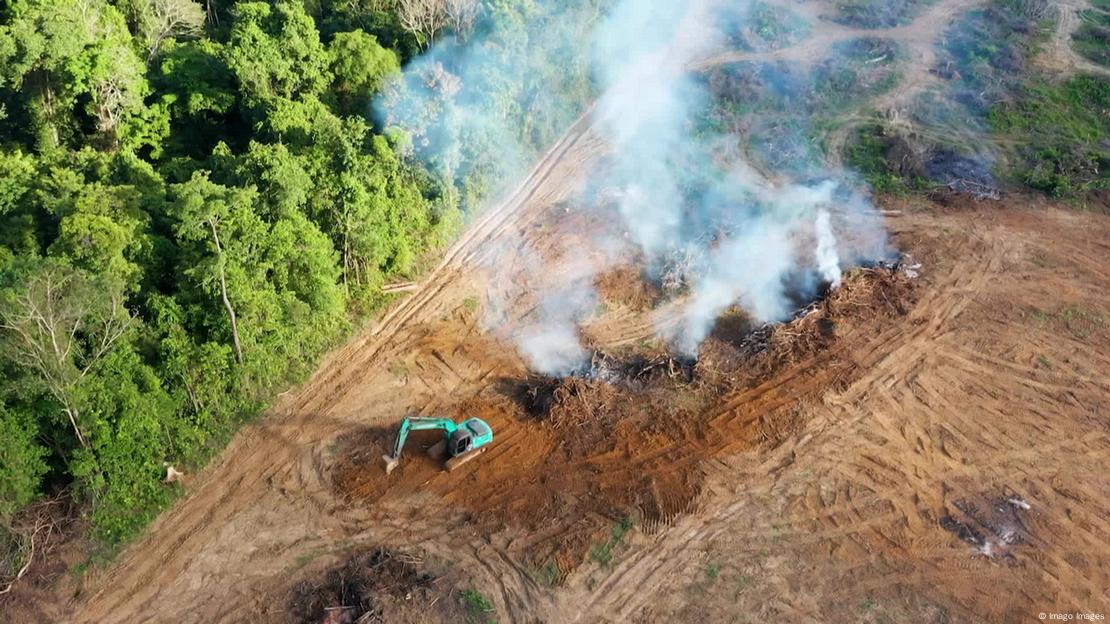 Destruição da floresta amazônica 