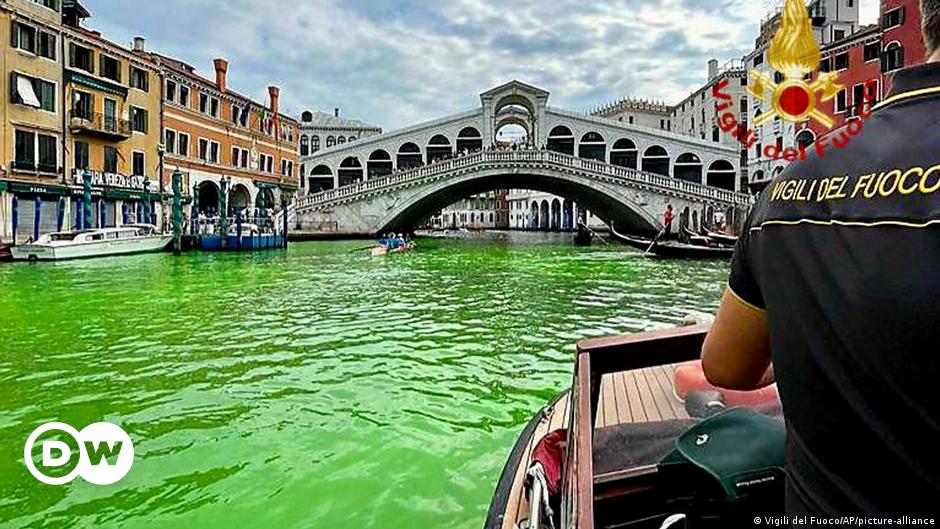 Canale Grande in Venedig leuchtet grün