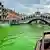 Firefighter looks over section of Venice Grand Canal near Rialto Bridge after the waters have turned fluorescent green