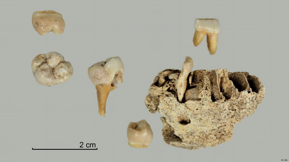 В Германии нашли челюсть ребенка, жившего 12 тысяч лет назад – DW –  31.05.2023