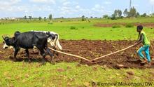 Äthiopien Farmer und Farmland 