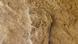 La huella, datada en 135.000 años de antigüedad. La huella, datada en 135.000 años de antigüedad.