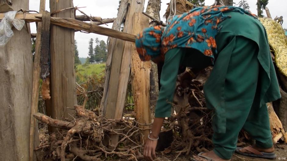 Kashmir: The difficult journey of pregnant nomadic women – DW – 05/31/2023