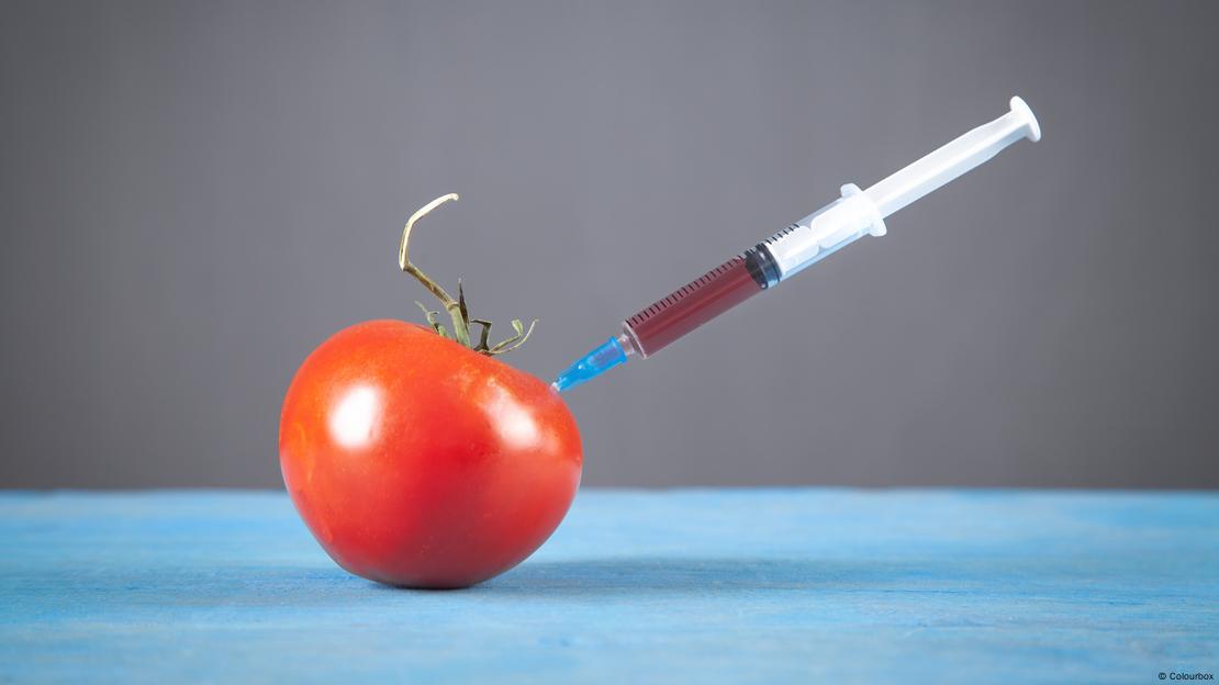 Imagen simbólica de una jeringuilla y un tomate