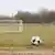 Una pelota de fútbol en una cancha vacía, con dos arcos.