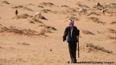 Middle East: How prepared is it for extreme heat waves? – DW – 06/03/2023