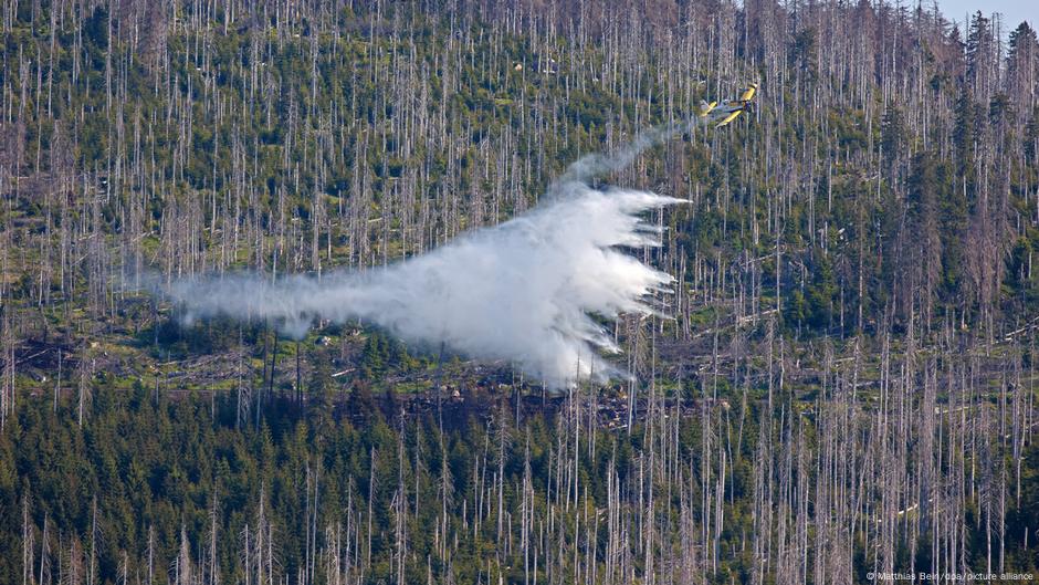 Germany: Harz mountain wildfire forces tourist evacation