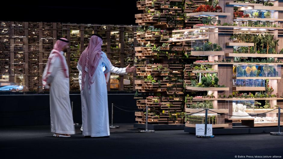 Good business or tool of oppression? Gulf states spending big on AI