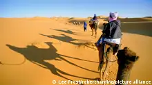Camel trek in Sahara dunes near Merzouga, Morocco, North Africa