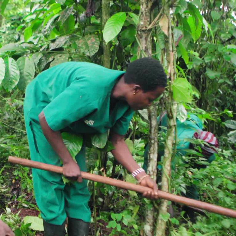 Learn more about biodynamic agriculture and food forest in