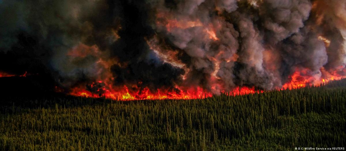 Humo de incendios en Canadá llega hasta Noruega - Incendios Forestrales en Canadá - 2023 ✈️ Foro USA y Canada