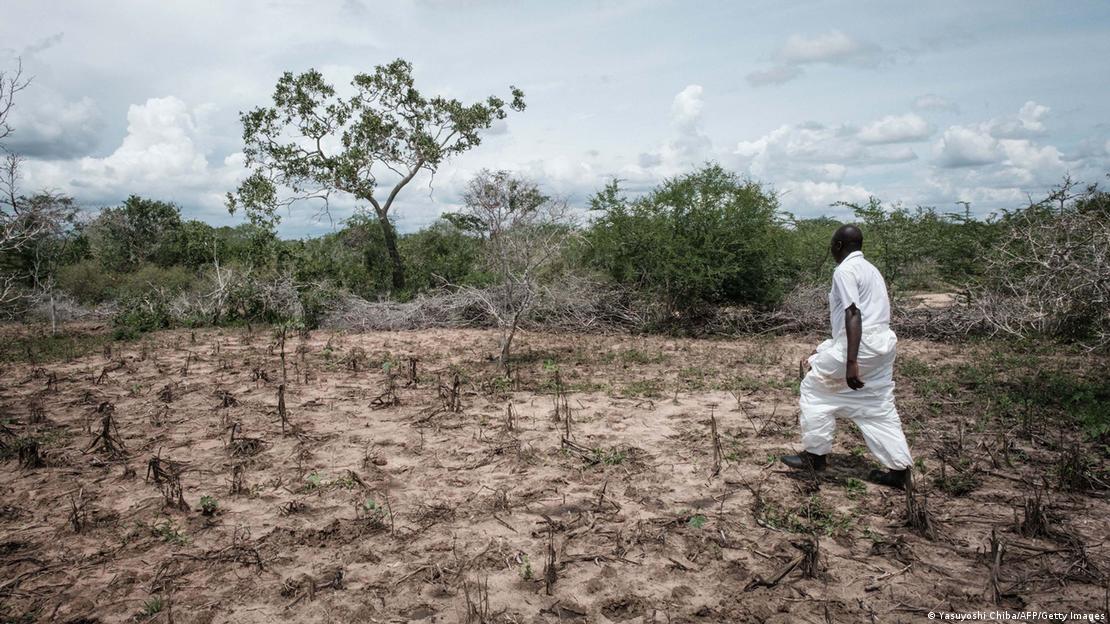 Fosa en la que se cree hay seguidores de la iglesia Good News International, acusados ​​de practicar hambruna masiva, en Shakahola, en las afueras de la ciudad costera de Malindi (25.04.2023)