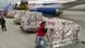 Paletten mit verpackten Hilfsgütern und Arbeiter vor einem Flugzeug (Foto: dapd) Paletten mit verpackten Hilfsgütern und Arbeiter vor einem Flugzeug (Foto: dapd)