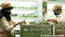 Greens Indonesia Restaurant
Location: Jakarta
Datum: 2023
