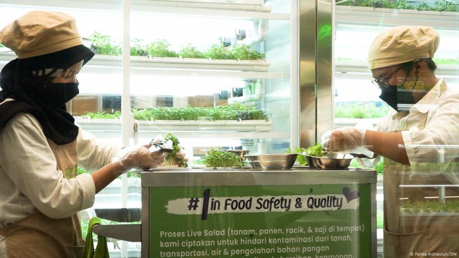 Indonesian startup taps AI to combat food waste – DW – 06/09/2023