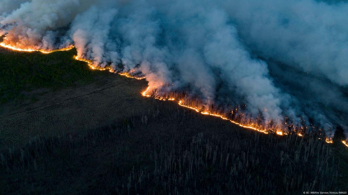 How Canada's wildfires really started DW 06/12/2025