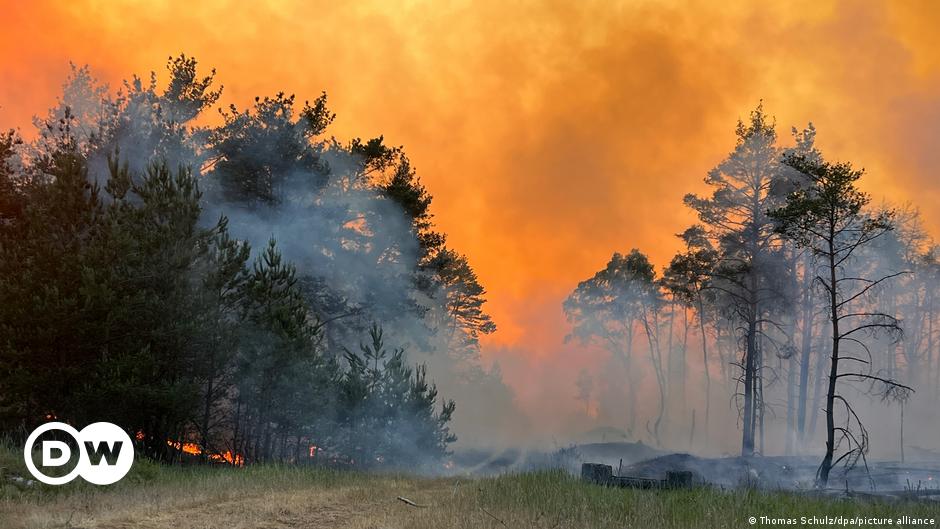 Waldbrände: Feuer-Drama in Mecklenburg-Vorpommern
Top-Thema
Weitere Themen