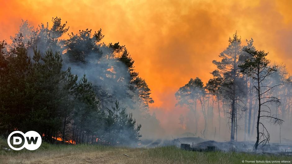 Drama kebakaran di Mecklenburg-Vorpommern – DW – 13 Juni 2023