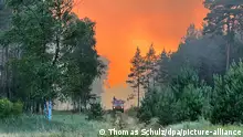 天干物燥 德国多地持续遭遇森林火灾