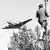 A boy standing in a tree watches as a plane flies by, in this black and white photo