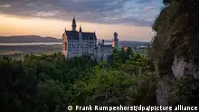 A view of Neuschwanstein castle with forest and cliffs in the foreground