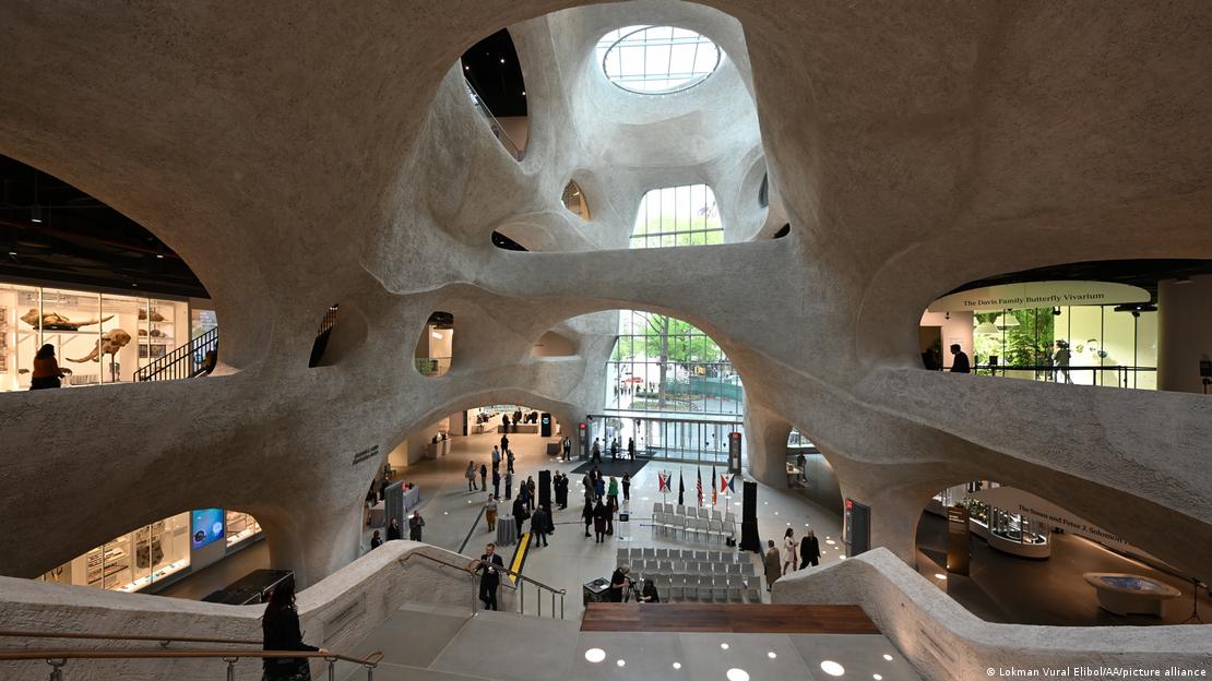 Edificio del American Museum of Natural History, en New York (interior).
