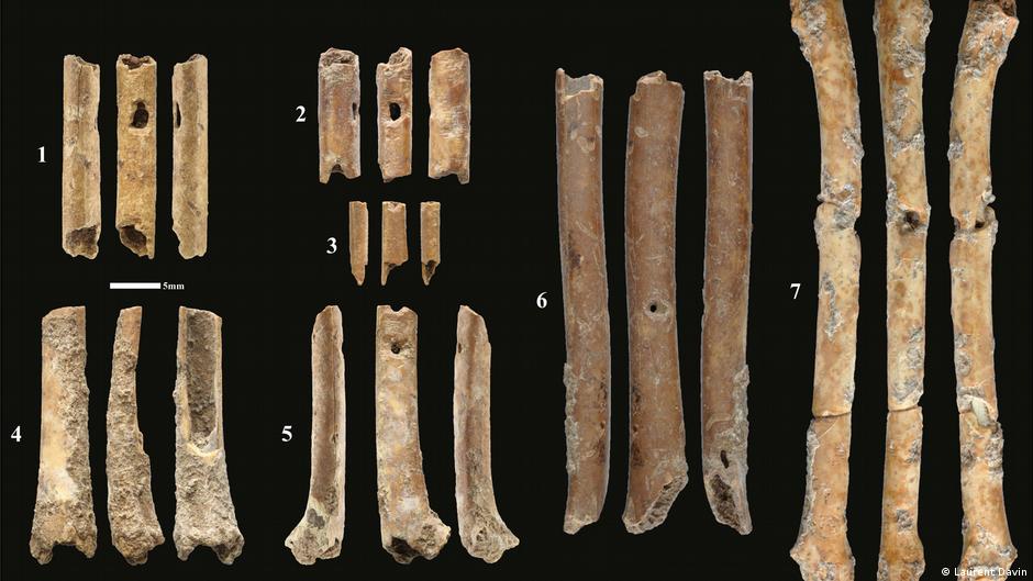 How the sound of music changed prehistoric societies – DW – 06/19/2023 - Vimarsana News