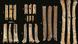 Ancient flutes found in Israel Ancient flutes found in Israel