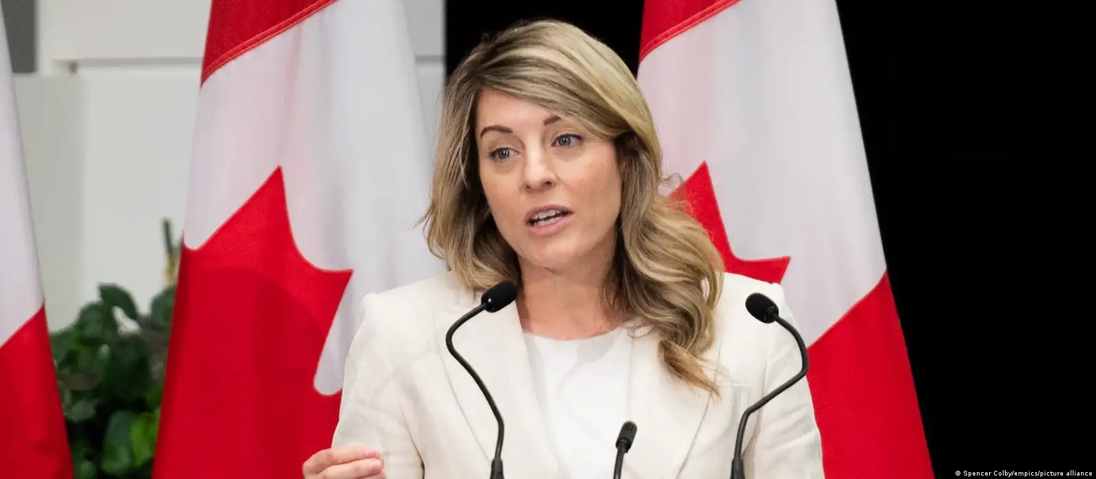 China executed 4 Canadians this year, Ottawa says