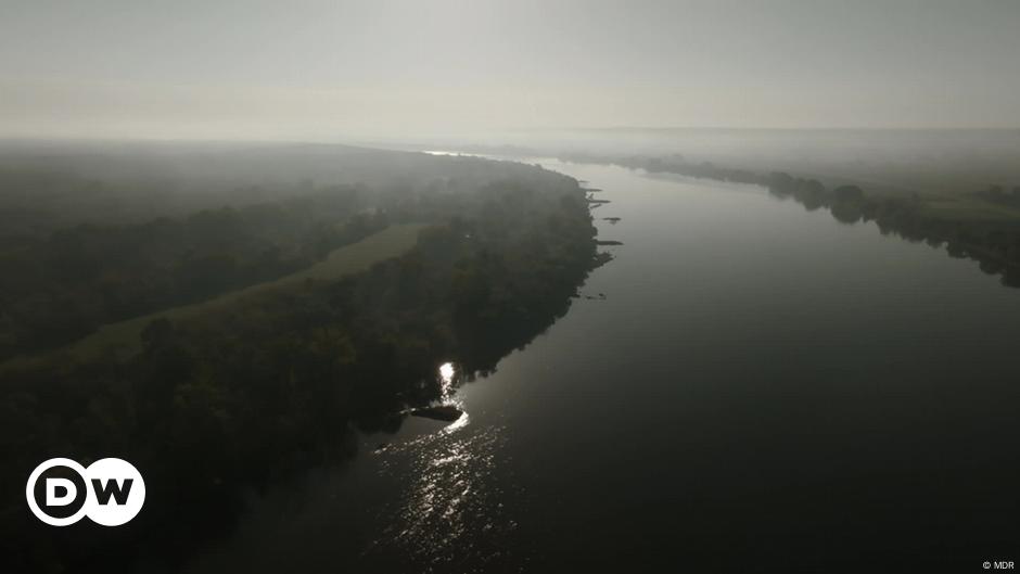 Zanieczyszczona i zatruta – Wisła w Polsce w niebezpieczeństwie – DW – 27 czerwca 2023