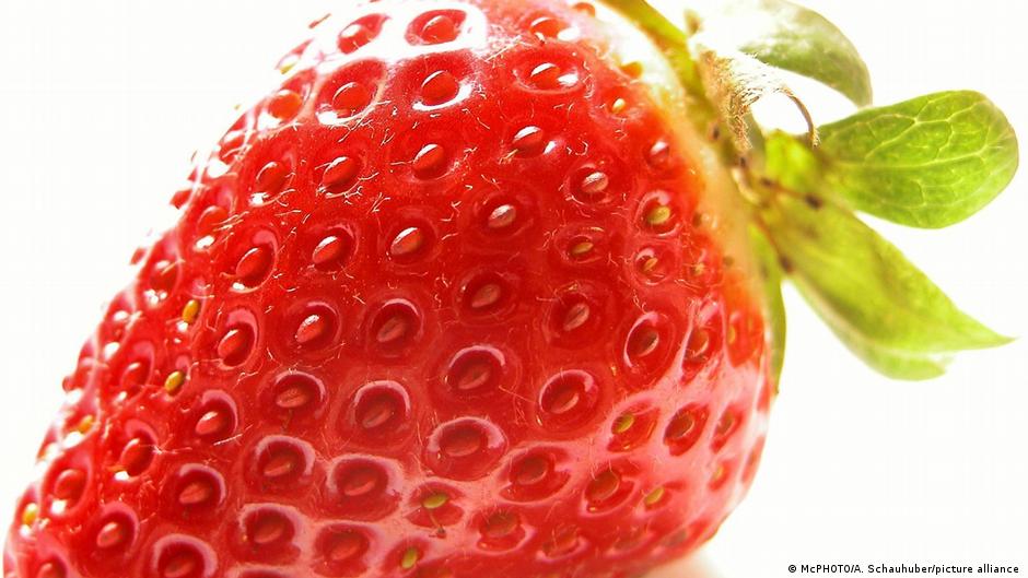 The sexy fruit: Kiss-from-heaven strawberries inspire art – DW – 07/02/2023 - Vimarsana News