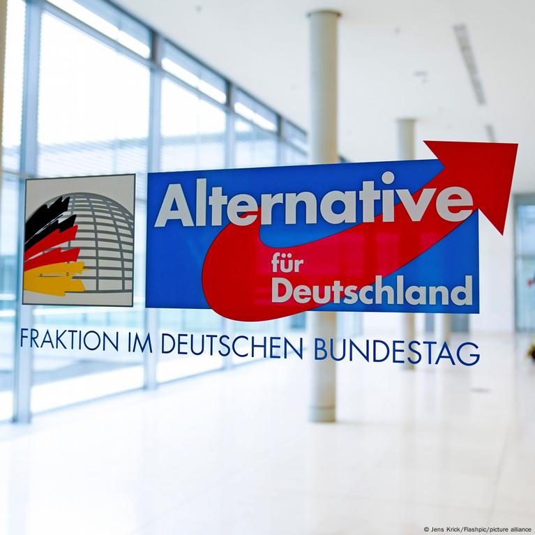 Far-right AfD emerges as Germany's second strongest party