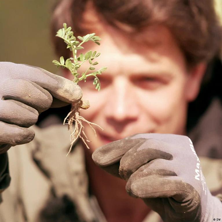 Popularizing plants that make their own fertilizer