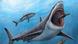 Otodus megalodon. Otodus megalodon.