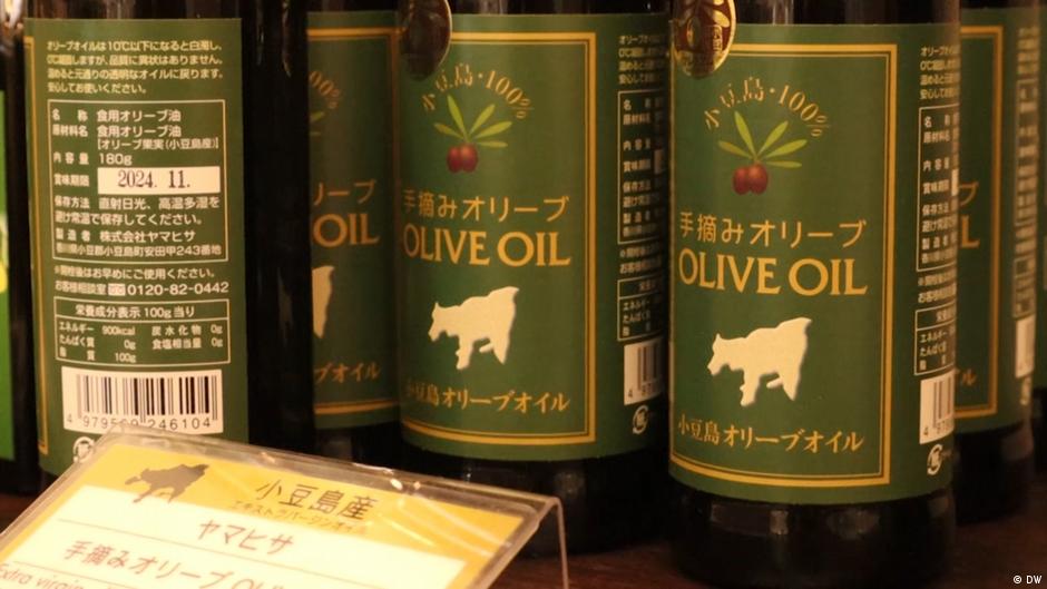 Japan's luxury olive oil industry embraces organic farming DW 06/29/2023