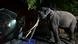 A Sri Lankan keeper leads elephant Muthu Raja inside a cage before departure from the Dehiwala Zoo in Colombo A Sri Lankan keeper leads elephant Muthu Raja inside a cage before departure from the Dehiwala Zoo in Colombo
