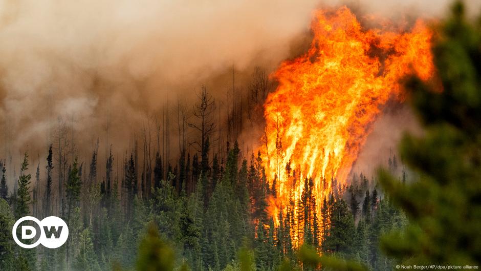 Kebakaran di Kanada memecahkan rekor luas wilayah – DW – 15 Juli 2023