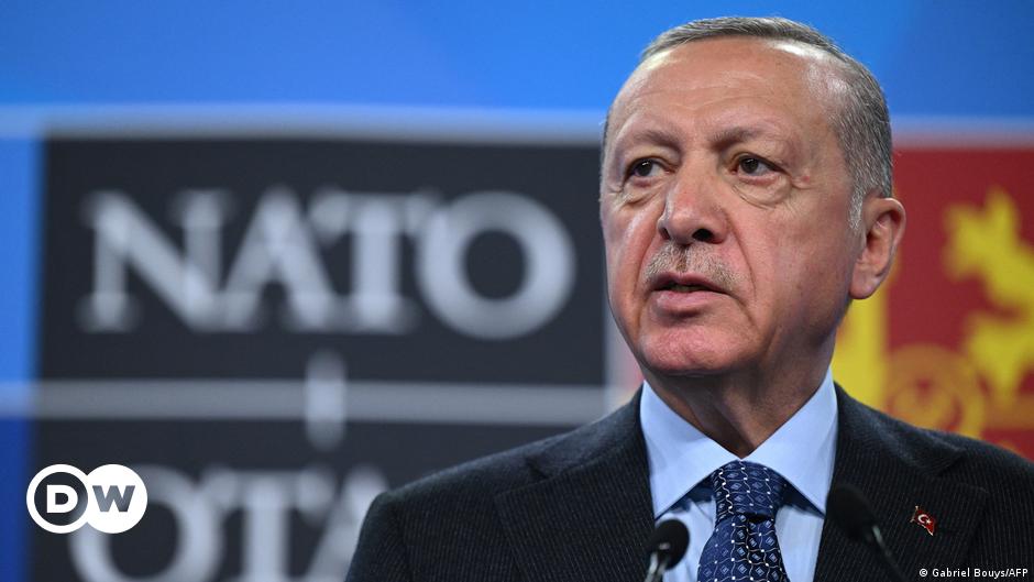 Qu’y a-t-il derrière le revirement de l’OTAN du président turc Erdogan ?  – DW – 07/11/2023