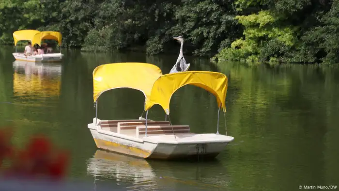 Ein Reiher sitzt auf dem gelben Dach eines Bootes 