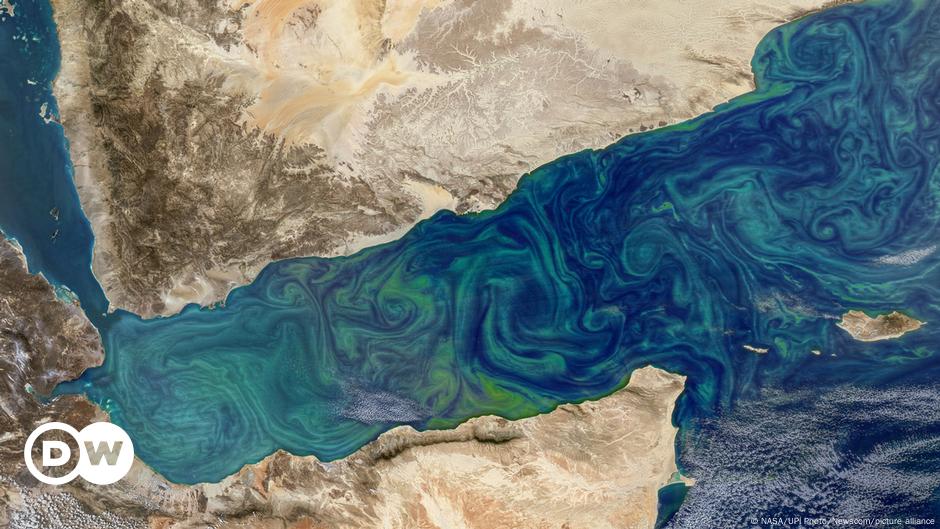 Ponad połowa oceanów zmieniła kolor – DW – 13.07.2023