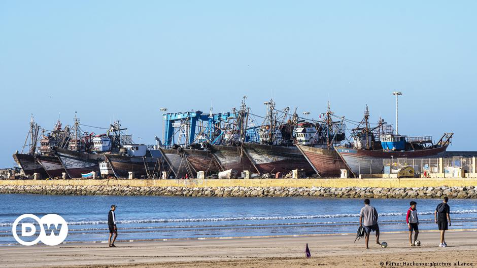 Kontrak penangkapan ikan antara Maroko dan UE berakhir – DW – 17 Juli 2023