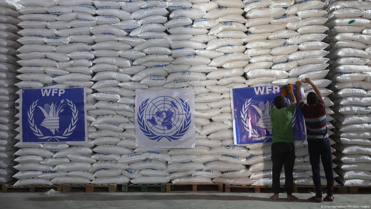 ONU no acepta pedido de Siria para aprobar paso de ayuda DW 15/07/2023