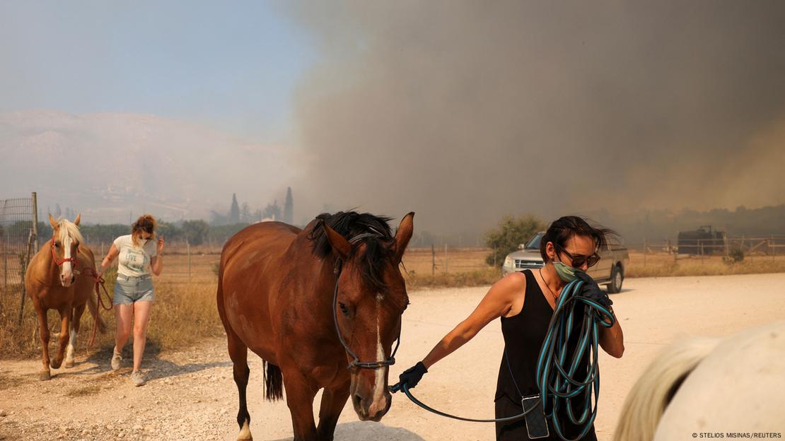 Pferdebesitzerinnen führen ihre Pferde von einer Weide in der Nähe des Waldbrandes nahe Athen